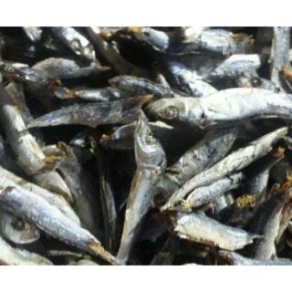 CÁ NỤC KHÔ LOẠI NGON (NHẠT)