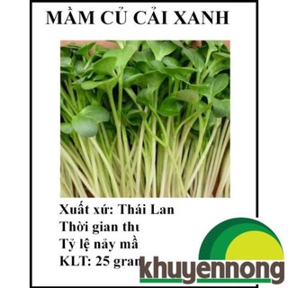 25 gr hạt giống rau mầm củ cải xanh