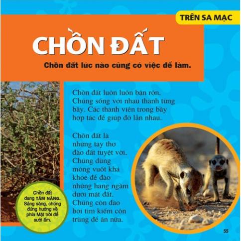 Sách - Cuốn Sách Lớn Đầu Tiên Của Tớ - Động Vật - NXB Kim Đồng