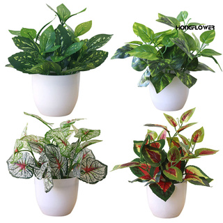 Chậu Cây Nhân Tạo Trang Trí Nhà Cửa Xinh Xắn Dễ Thương