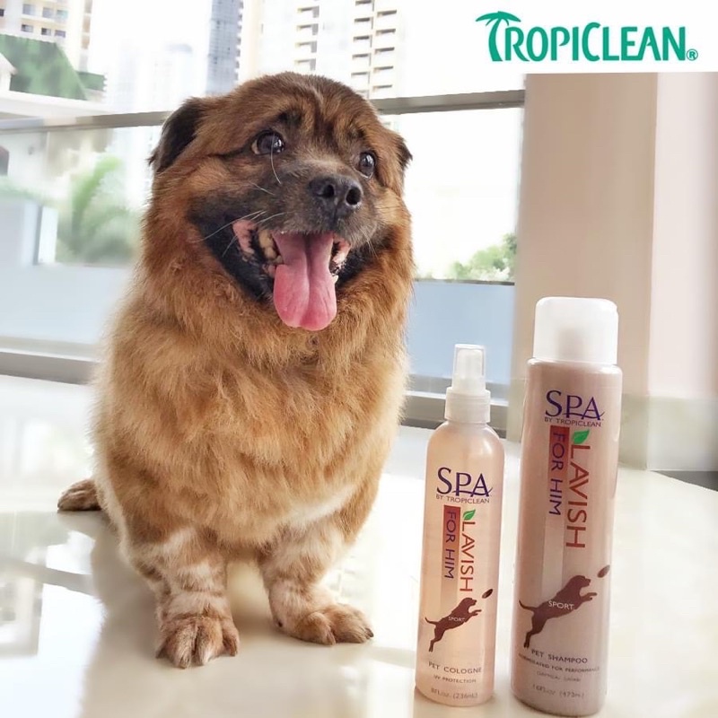 Sữa Tắm Spa Cho Chó Mèo Lavish By Tropiclean Cao Cấp Chai 473ml