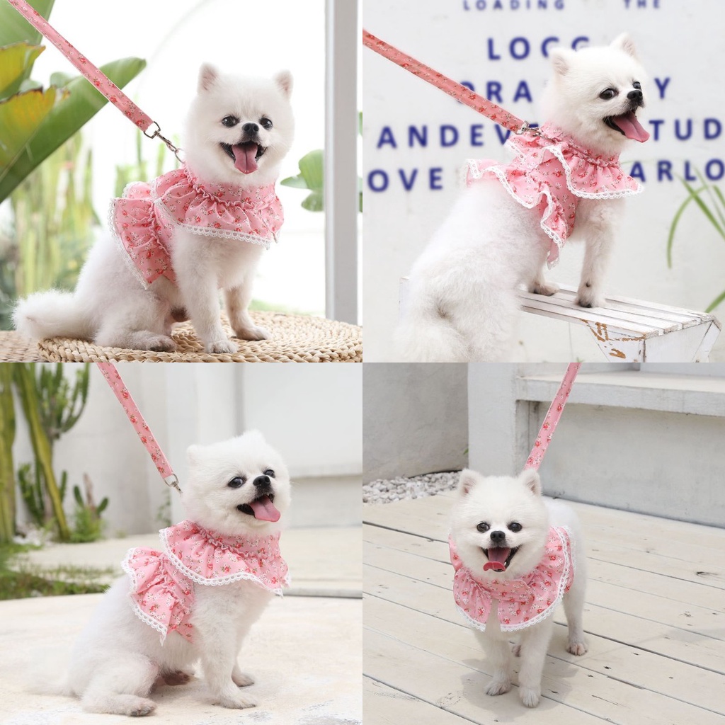 Áo Yếm Phối Ren In Hoa Dễ Thương Cho Thú Cưng