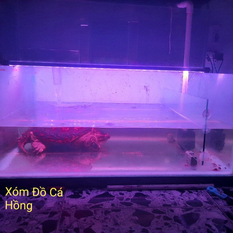 Đèn 30cm đến 120cn,  led chuẩn Caibao chìm nước hồ cá. Trắng xanh-3 Màu -Xanh Dương-Trắng-Hồng.
