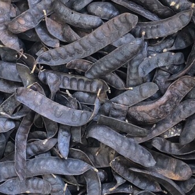 Bồ kết khô