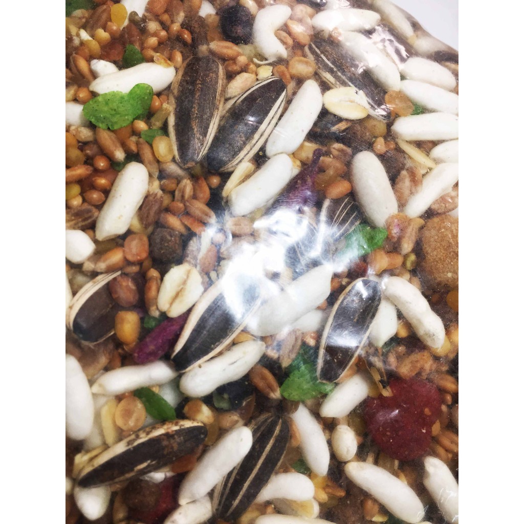 [Thức Ăn Hamster] Ngũ Cốc Ăn Nền Cho Hamster 500g - Thức Ăn Cơ Bản Hamster Hàng Tốt