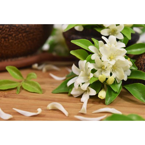 HƯƠNG HOA LÀI  50ML