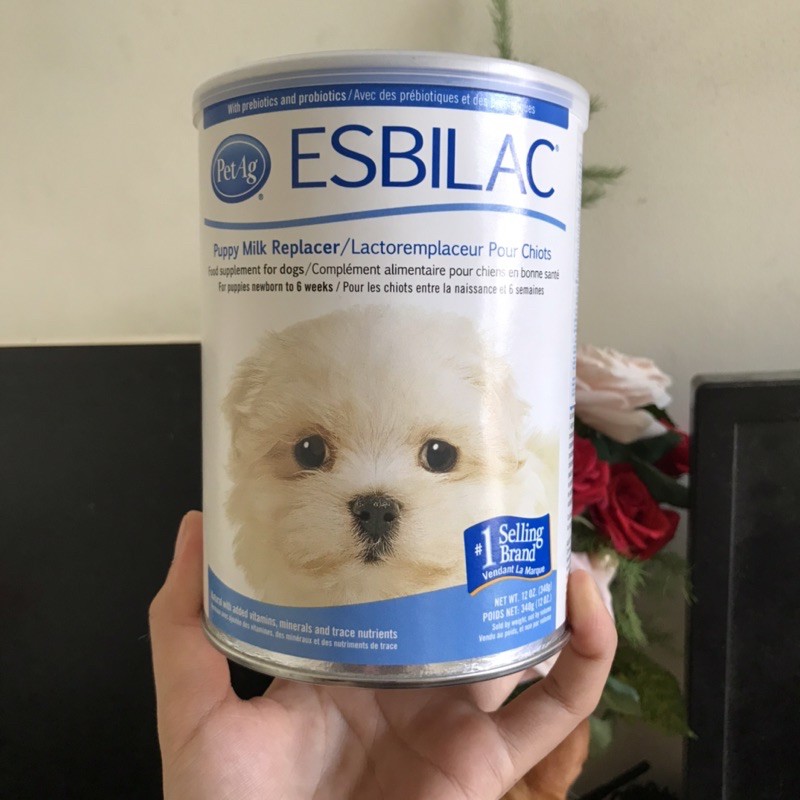 [Sữa bột Esbilac] Sữa cho chó con từ sơ sinh đến 6 tuần tuổi 340g