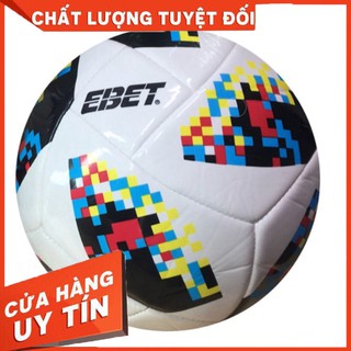 Quả bóng đá Động Lực may số 5