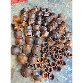  Chậu đất nung gốm Bàu Trúc 