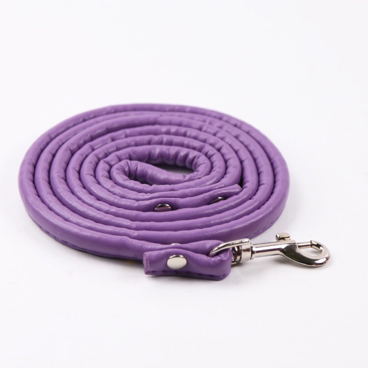 Dây dắt Chó Mèo thời trang siêu đáng yêu -  Chất liệu da PU bền bỉ