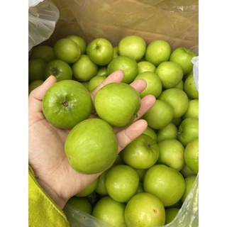 3kg Táo Phan Rang Giòn Ngọt size 25-30 quả