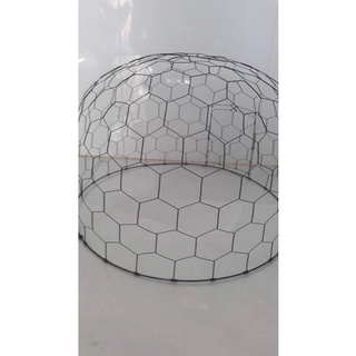 Bội úp đánh đất cu gáy tàng hình lò xo size 36