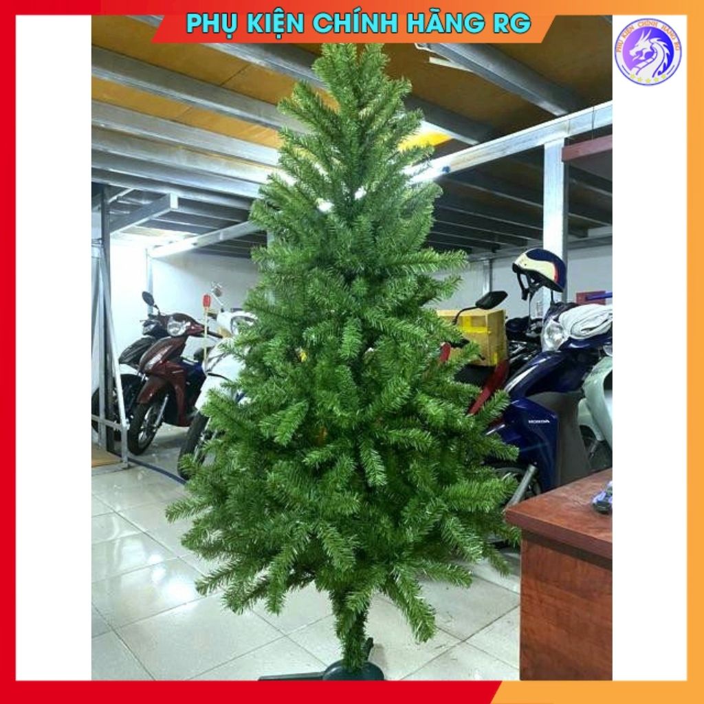 Cây thông noel 1m5 tặng ngôi sao đỉnh và dây kim tuyến cây thông trang trí giáng sinh siêu đẹp ảnh thật tự chụp