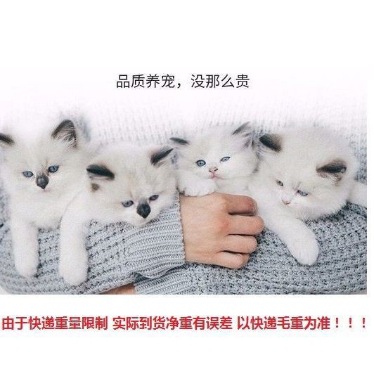 【Sẵn sàng giao hàng】 thức ăn cho mèo đồ ăn cho mèothức ăn cho mèo thương hiệu, phổ thông, mèo, Mua 3 tặng 1
