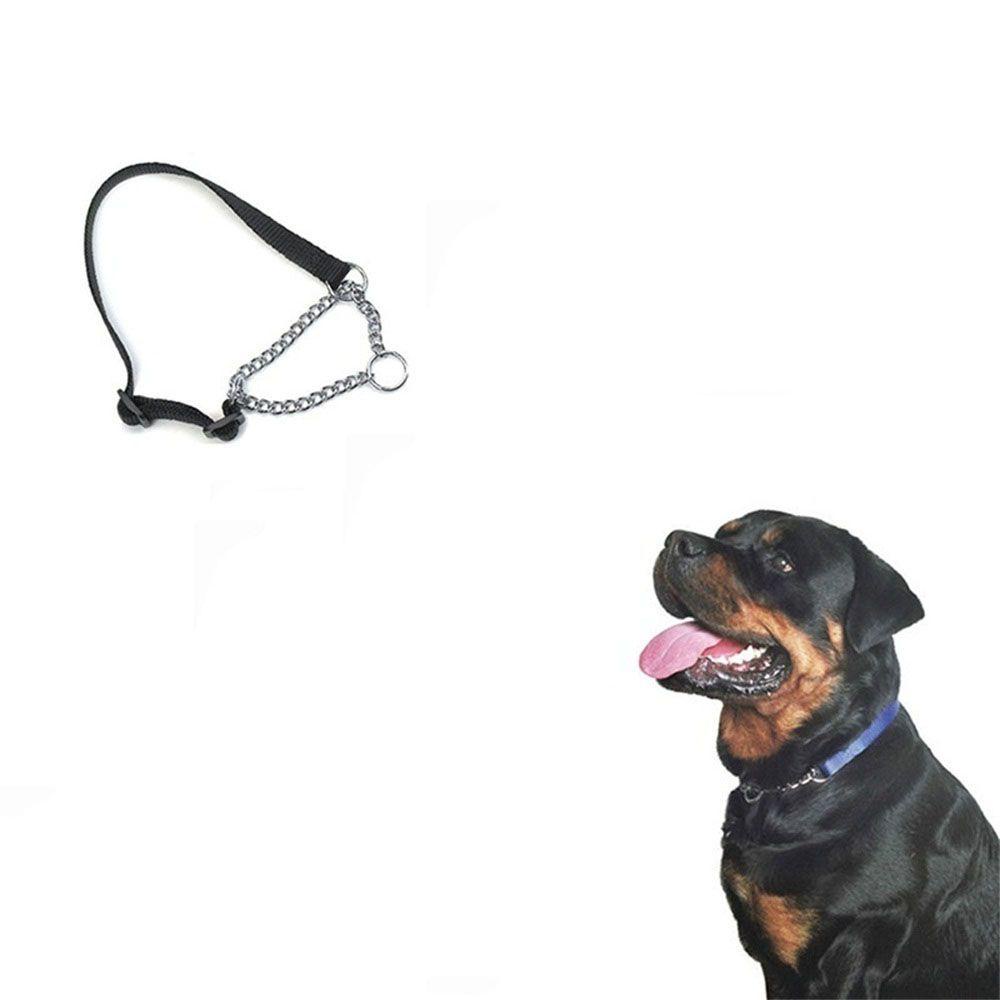 MIQUEL Dây Xích Huấn Luyện Thú Cưng