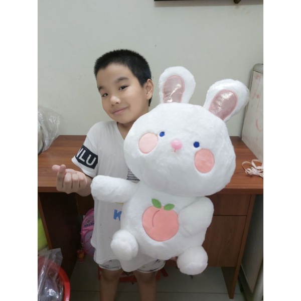 Thỏ trắng trái đào- thỏ má hồng bụng trái đào