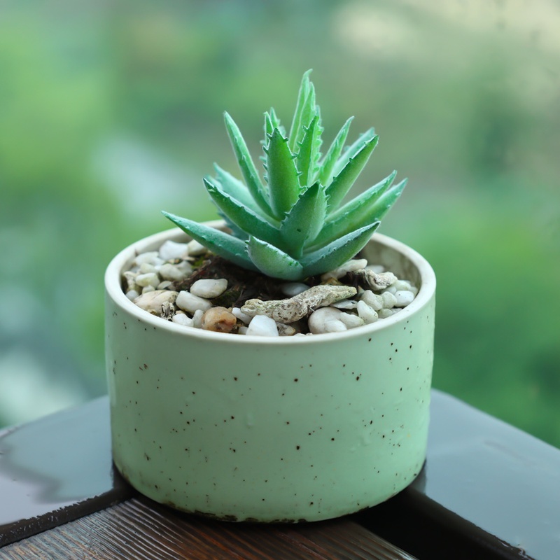 Hoa Sen Đá Nhân Tạo Để Bàn Trang Trí Văn Phòng/Phòng Khách DIY