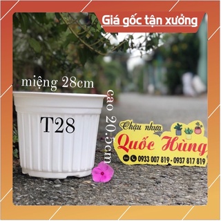 [ Sỉ từ 30 cái ] chậu nhựa trắng (28cm x20.5cm) trồng xương rồng - Sen đá -cây mini