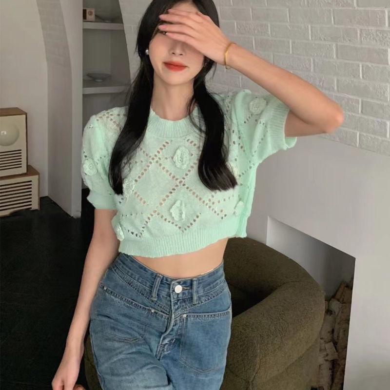 Áo Sweater Dệt Kim Tay Ngắn Cổ Tròn Thiết Kế Lỗ Lưới Thêu Họa Tiết Thời Trang Mùa Hè Mới Cho Nữ