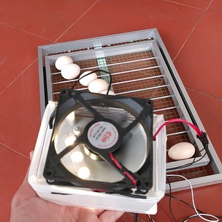 Máy Ấp Trứng Việt Nhật Cao Cấp Và Khay Đảo Trứng Tự Động 60 Trứng