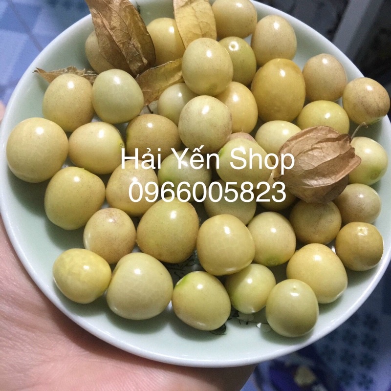 100g trái Tầm Bóp (thù lù) Việt Nam siêu ngon