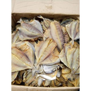 Cá chim biển, Khô cá chim, Cá ăn cơm túi 1kg