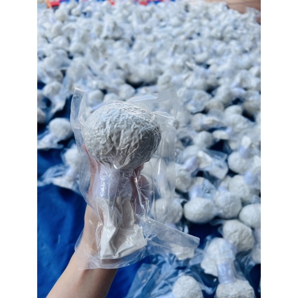 CÂY MUỐI THẢO DƯỢC CHƯỜM MẮT
