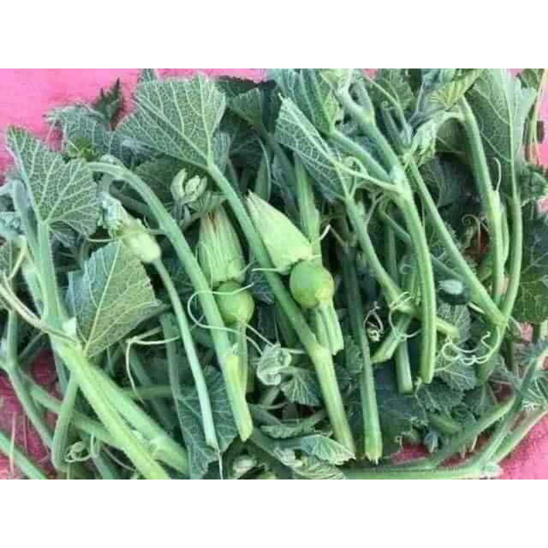 Hạt giống bí đỏ hồ lô Trang Nông TN6 gói 2g