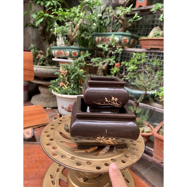 2 Vuông khum trông cây bonsai siêu mini trồng thạch xương bồ