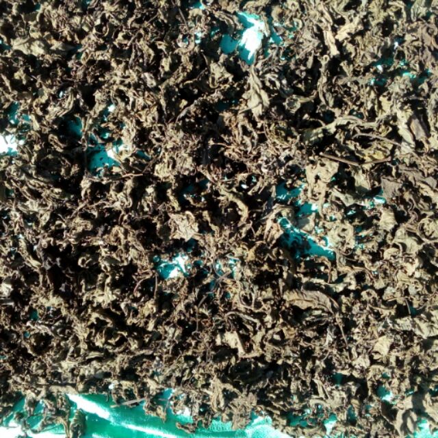 Thuốc lá trị đau dạ dày Yên Bái