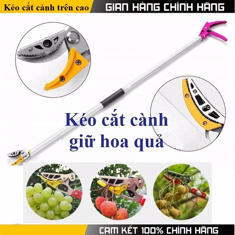 Kéo cắt cành hái quả