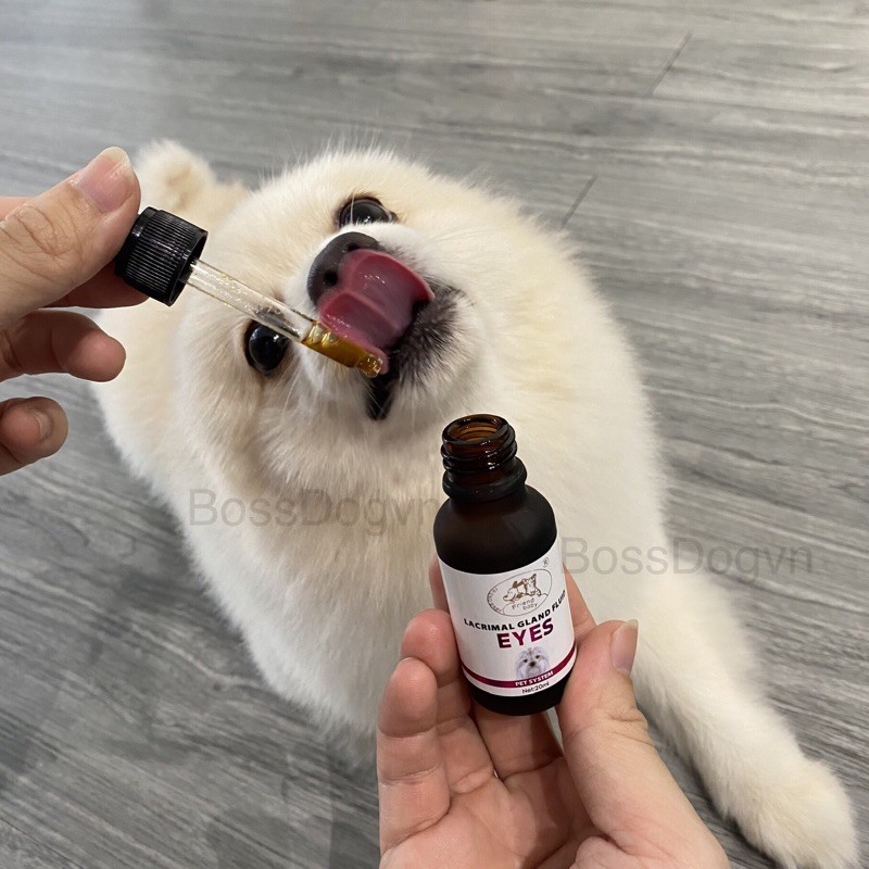 Siro giảm chảy nước mắt chó mèo, giảm ố vàng mắt-Lacrimal Gland Fluid Eyes | BossDog