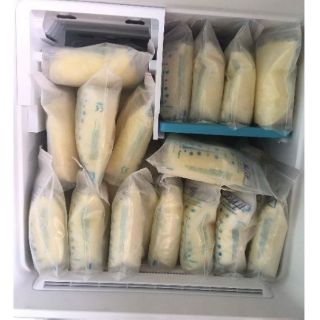 50 Túi zip bảo quản sữa loại lớn