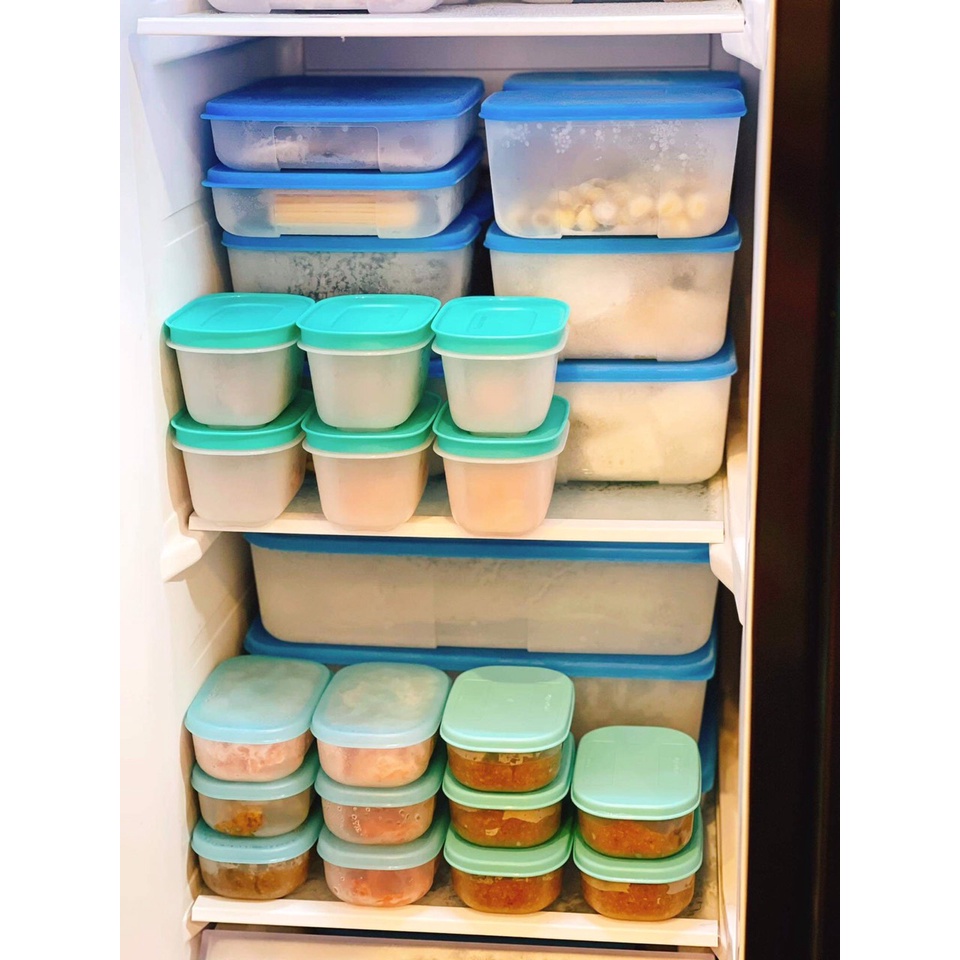 HỘP LẺ TRỮ ĐÔNG MINI FREEZERMATE GEN II 170ML  Tupperware