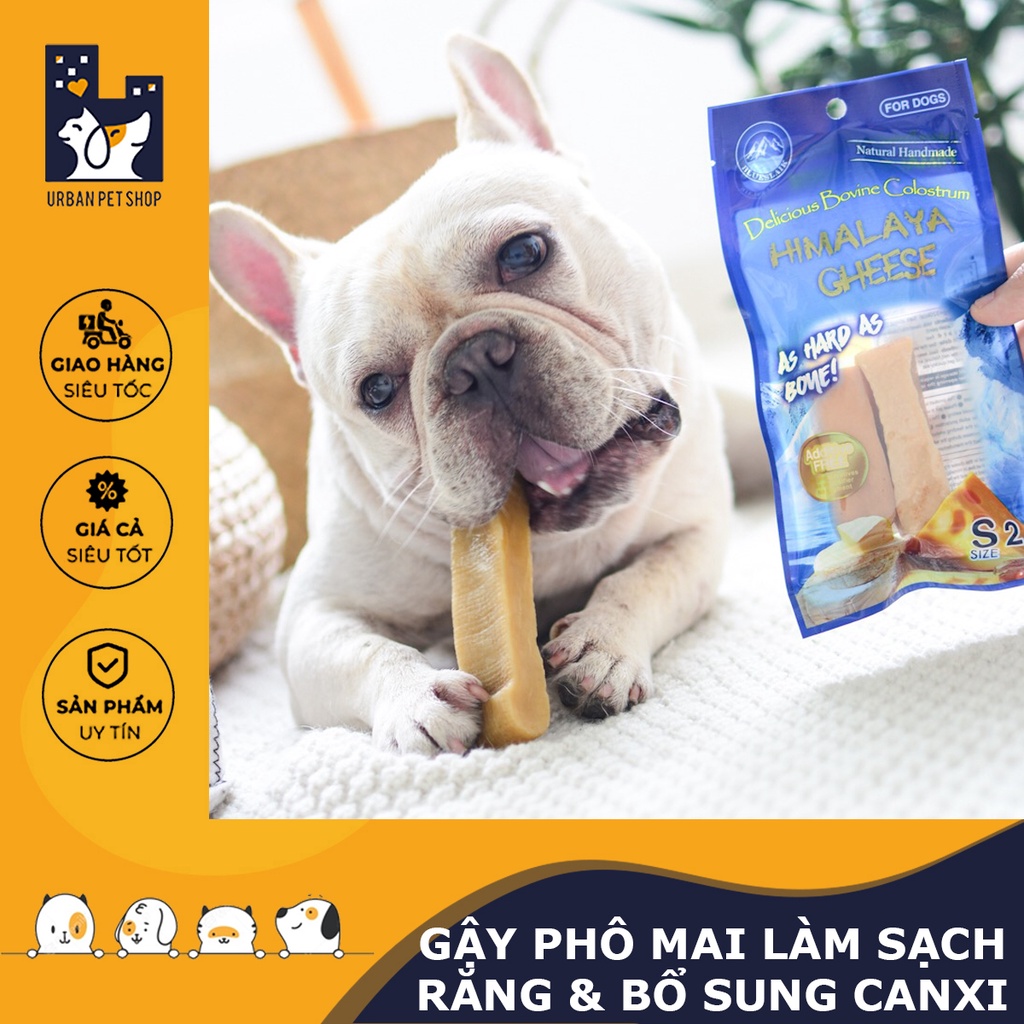 𝗨𝗿𝗯𝗮𝗻_𝗛𝘆𝗺𝗮𝗹𝗮𝘆𝗮 𝗖𝗵𝗲𝗲𝘀𝗲_Gậy phô mai làm sạch răng và bổ sung canxi cho chó