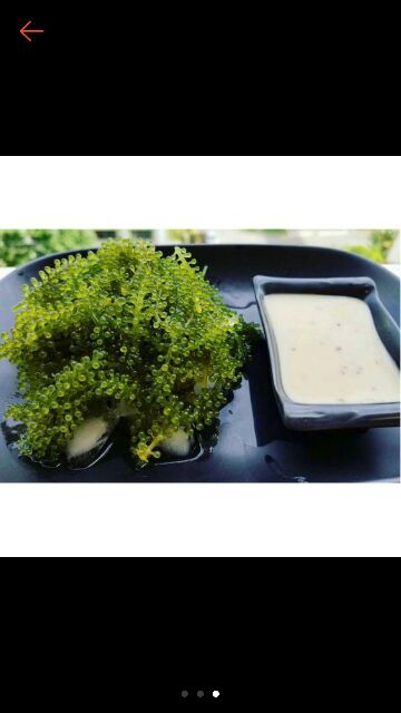 3 gói Nước sốt mè rang kewpie như | BigBuy360 - bigbuy360.vn