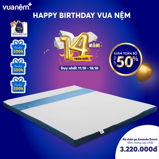 Nệm Massage Nhật Bản Color Foam Goodnight êm ái mềm mại nâng đỡ cơ thể bảo hành bởi Vua Nệm