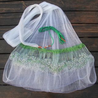 CHÀI CƯỚC THÁI LAN BUNG 8M 10M