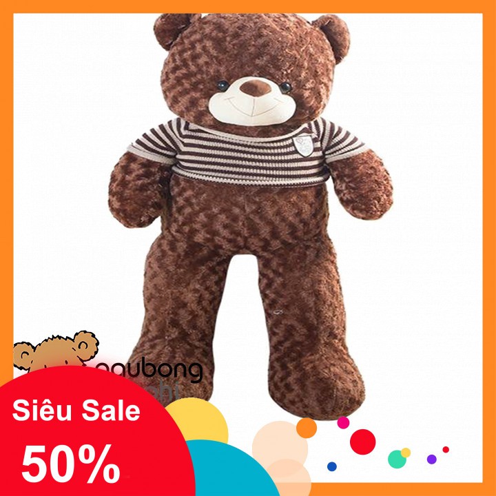 Gấu teddy áo len khổ vải 1m2 shop gấu bông béo phì