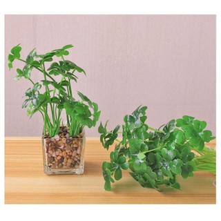 1 Cây cỏ giả cỏ nhân tạo Trang trí nhà - cỏ mây mắn 4 lá
