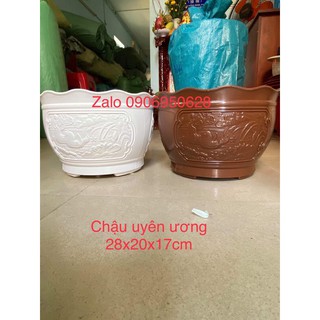 Chậu nhựa uyên ương có 2 size