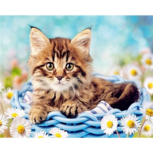 Bộ Tranh Đính Đá 5D Họa Tiết Chú Mèo Dễ Thương Độc Đáo DIY Dùng Trang Trí Nhà Cửa