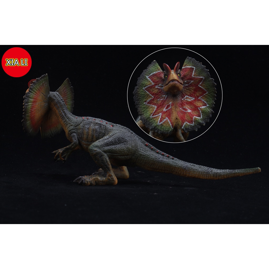 Đồ Chơi Mô Hình Khủng Long Dilophosaurus Cỡ Lớn Mới Dành Cho Trẻ Em