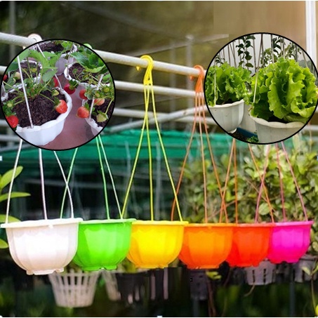 Chậu Nhựa Bí Xinh Xắn Treo Trồng Hoa, Cây Cảnh, Rau Củ Kèm Dây Treo - Chậu To Hàng Loại 1 Dày Đẹp