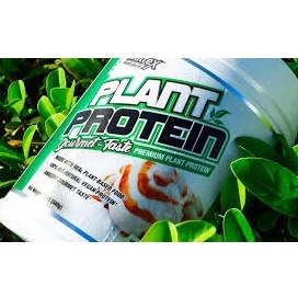 Plant Protein Đạm Thực Vật Cho Người Tập Gym Vegan Pro Nutrex Plant Protein 1.2lbs