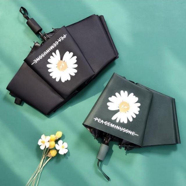 Ô DÙ HOA CÚC HÀN QUỐC _ DÙ CÚC HỌA MI PRO TỰ ĐỘNG