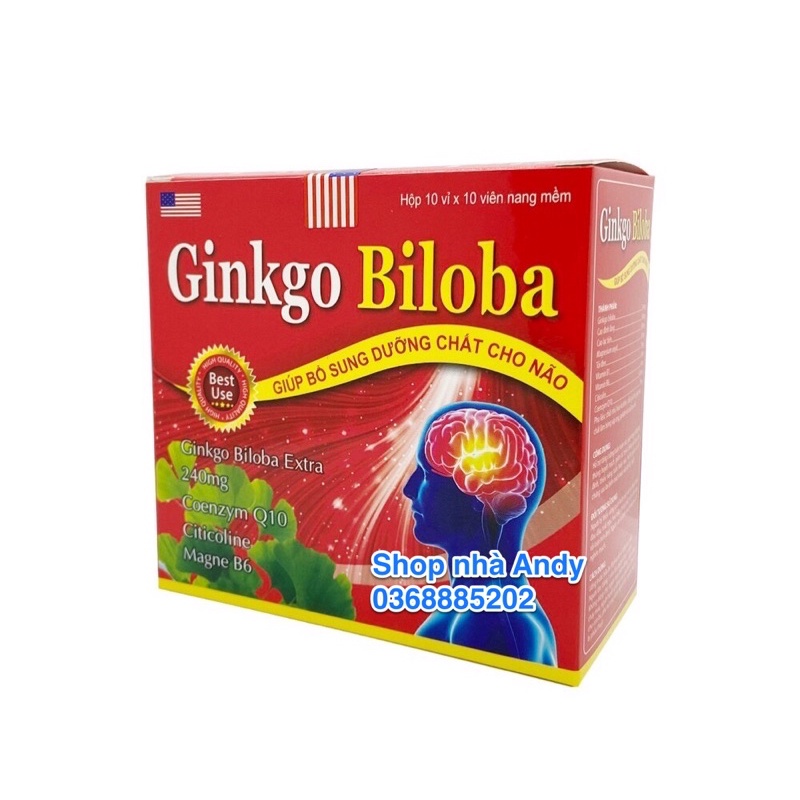 Ginkgo Biloba 240mg Bổ Sung Dưỡng Chất Cho Não Hộp 100 viên