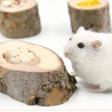 Bát ăn gỗ cho Hamster, thỏ , bọ , sóc