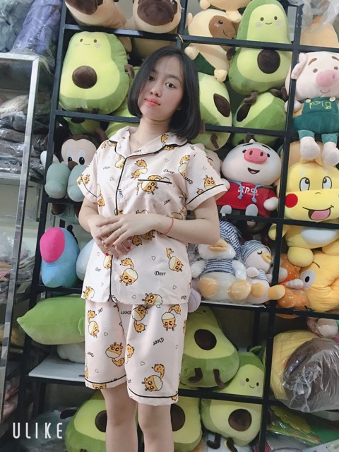 Bộ pijama  [60k ]tay ngắn quần cộc | BigBuy360 - bigbuy360.vn