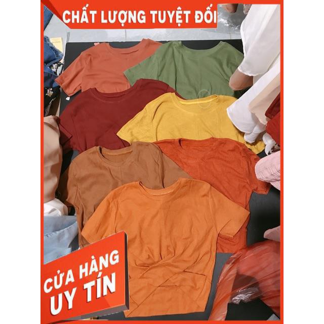 Áo xoắn bụng croptop- hình thật chính chủ | BigBuy360 - bigbuy360.vn
